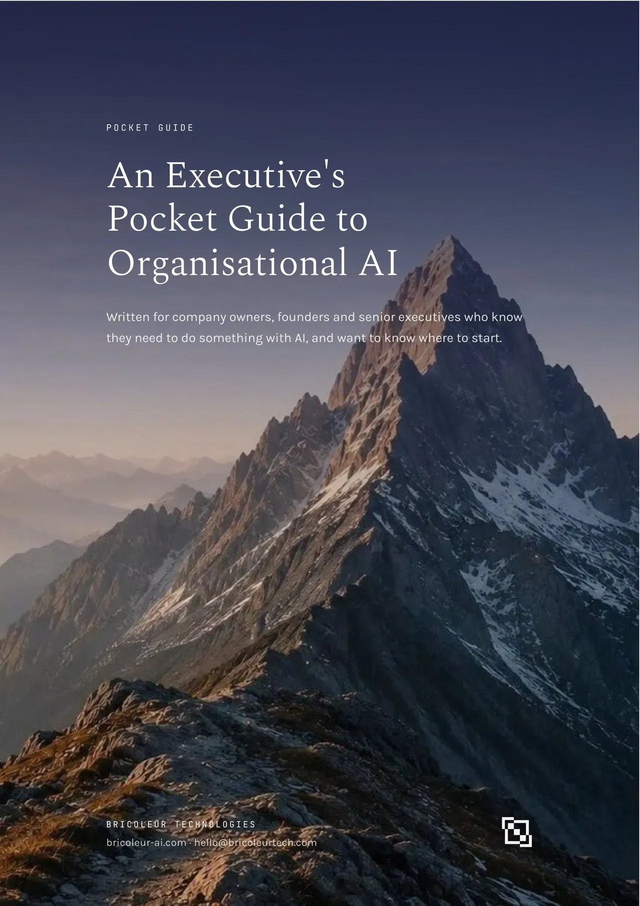 Cover of An Executive's Pocket Guide to Organisational AI